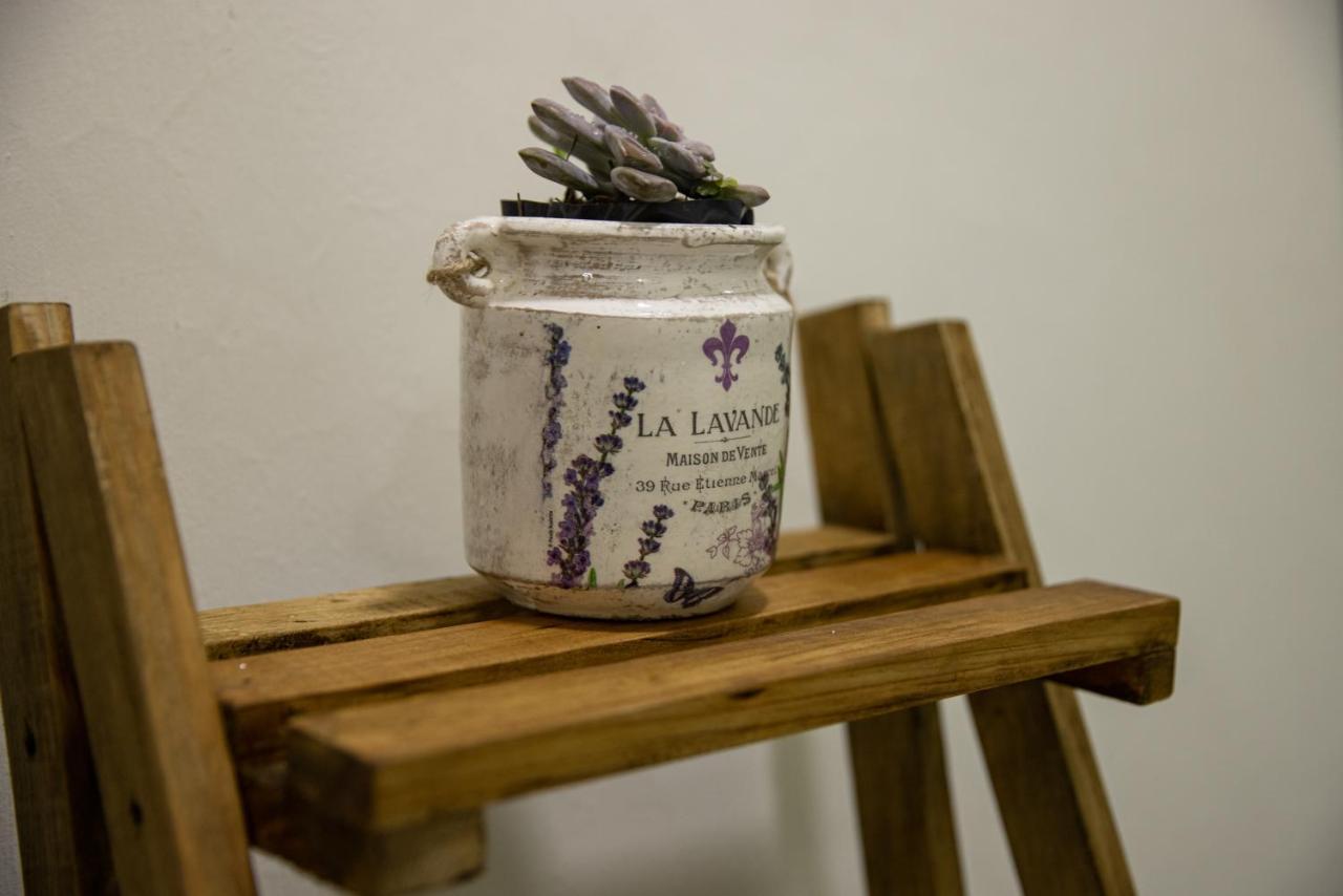 Casa Jima Agave